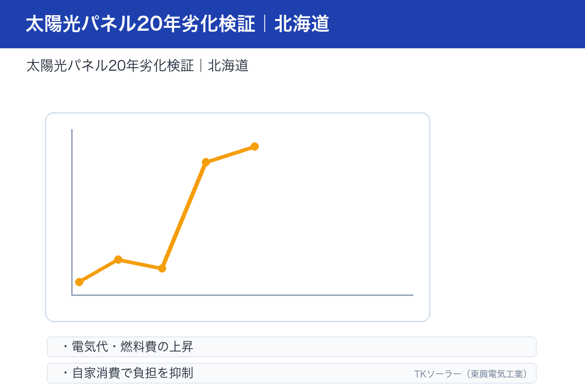 太陽光発電の規模別投資回収グラフ。20年経過後の出力低下を織り込んだ経済性を示す。